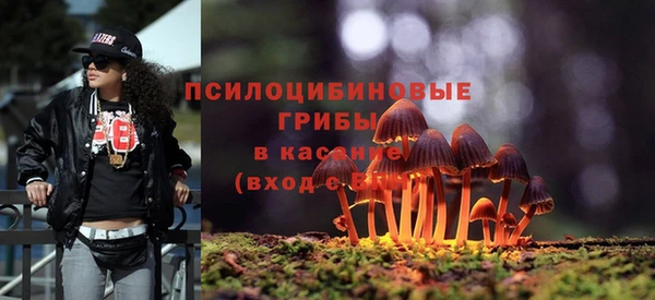 герыч Алзамай