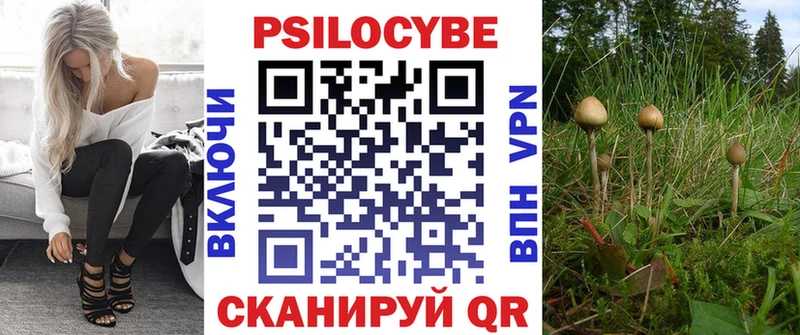хочу   Когалым  Галлюциногенные грибы мицелий 