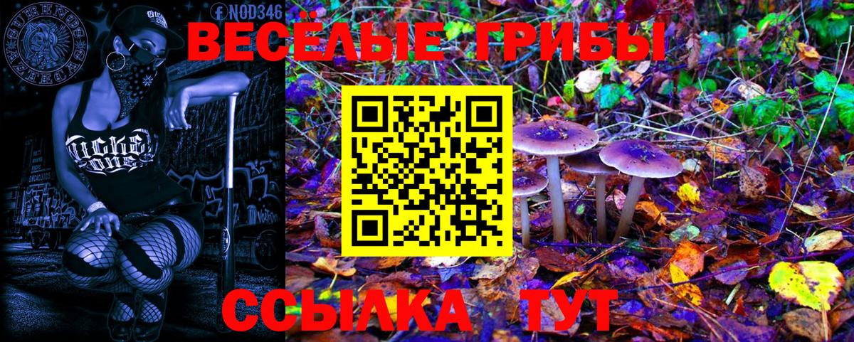 Галлюциногенные грибы Magic Shrooms  Вход с VPN  наркота  Когалым 